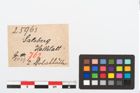 Etikett zu Goldfolienhalbkreise (NHMW-PRAE-025963)